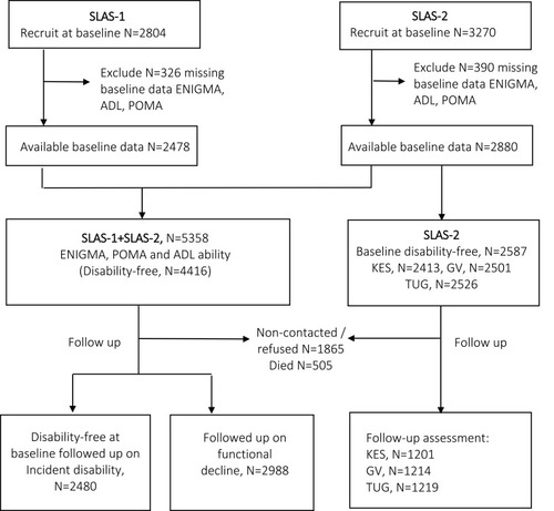 Figure 1 Flow chart of study participants recruitment and assessment.