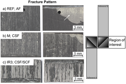 Figure 4. Typical fracture patterns as well as the mode of failure after different treating strategies, (a) REF, (b) M and (c) IR3 irradiation. 50×, bright field. ROI-Scheme of the facture patterns shown in a–c.