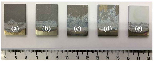 Figure 1. Macroscopic image of the samples coated in different electrolytes: (a) An, (b) Ap, (c) As, (d) Ab and (e) Af.