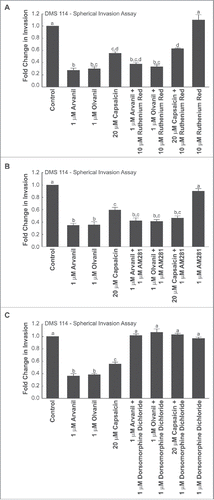 Figure 7. Spherical invasion assays reveal that the anti-invasive activity of arvanil, olvanil and capsaicin did not involve the TRPV or CB1 pathway but were mediated by the AMPK pathway, in DMS 114 cells (A) Spherical invasion assays demonstrate that the anti-invasive activity of arvanil, olvanil or capsaicin were unaffected by the generalized TRPV antagonist ruthenium red in DMS 114 cells. (B) Spherical invasion assays reveal that invasion-inhibitory activity of arvanil, olvanil and capsaicin was not abrogated by the CB1 antagonist AM281 in DMS 114 cells. (C) The AMPK inhibitor dorsomorphine dichloride reverses the anti-invasive activity of arvanil, olvanil and capsaicin in DMS 114 cells, as measured by spherical invasion assays. The distance traveled by the control cells was assumed to be 1, and arvanil-, olvanil-, capsaicin-induced decreases in invasion were calculated as fold change from control. Values indicated by the same letter are not statistically significant. The figure represents the average of two independent experiments and the data have been represented as mean ± SEM.