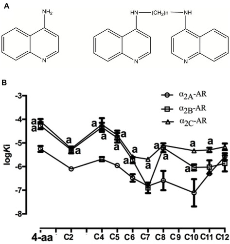 Figure 1 Structures (A) and subtype selective binding (B) of 4-aminoquinoline compounds. (A) n represents the number of methylene groups in the linking chain. (B) Competition binding assay was performed on membranes prepared from α2A, α2B or α2C-ARs transiently transfected COS-7 cells. All binding curves were fit by a one-site binding model. Affinities were compared using one-way ANOVA and student-Newman-Keuls multiple comparison tests. a: p<0.05 compared to 4-aminoquinoline, b: p<0.05 compared to α2A-AR.