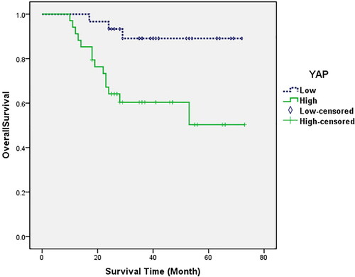 Figure 4. Kaplan–Meier analysis of the overall survival of patients with hepatoblastoma based on YAP expression (P = 0.007).