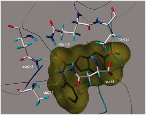 Figure 6. 3D representation of the binding mode of the most potent inhibitor 20 at the active sites of BuChE.