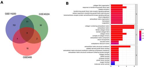 Figure 2 Functional enrichment analysis of common differentially expressed genes (co-DEGs). (A), Venn diagram of co-DEGs; (B), Gene Ontology (GO) analysis of co-DEGs regard to biological process (BP), cellular component (CC), and molecular function (MF).