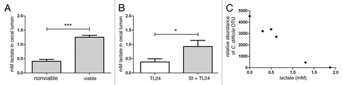 Figure 3.S. thermophilus treatment increases levels of cecal lactate and is correlated with lower levels of C. difficile. (A) Antibiotic treated, uninfected mice receiving subsequent treatment with viable S. thermophilus had significantly higher levels of cecal lactate vs. mice receiving UV-irradiated (nonviable) S. thermophilus (***p = 0.0009; n = 3/group). (B) Mice treated with S. thermophilus before and after C. difficile infection maintained significantly higher cecal lactate levels (*p = 0.04) vs. untreated, infected mice. (C) An inverse correlation between cecal lactate and abundance of C. difficile OTUs from cecal luminal contents were calculated (two-tailed, Spearman r = -0.942, p = 0.017).