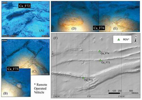Figure 8. Detail of remotely operated vehicle images. (a) Ca_F72. Rocky outcrops (b) Ca_F73. Presence of equinodermus (Echinus Sp.) (c) Ca_F73. Linear rocky outcrops with presence of three-tailed fish bank (Anthias anthias) (d) Ca_F74. Axinella sp. (e) Ca_F74. (Palinurus elephas) (F) ROV locations