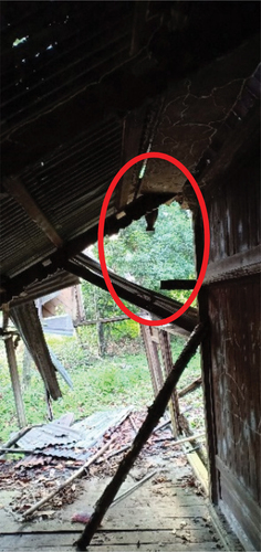 Figure 16. The position of buah buton (Anip 1) (red circle) hanging from the porch’s floor.