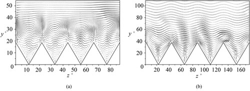 Figure 16. Cross-flow velocity fields, (v,w), in the drag-decreasing case (s+=21.94) and drag-increasing case (s+=44.05). (a) The drag-decreasing case. (b) The drag-increasing case.