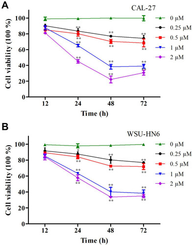 Figure 1 Cell viability of OSCC cells determined by MTT assay after lycopene. (A) CAL-27 cells and (B) WSU-HN6 cells cell lines were incubated with 0.25–2 µM lycopene from 12 to 72 h. The percentage of cell viability was shown in a dose- and time-dependent manner. The data were performed independently in triplicate and presented as mean ± SD, *P<0.05, **P<0.01.