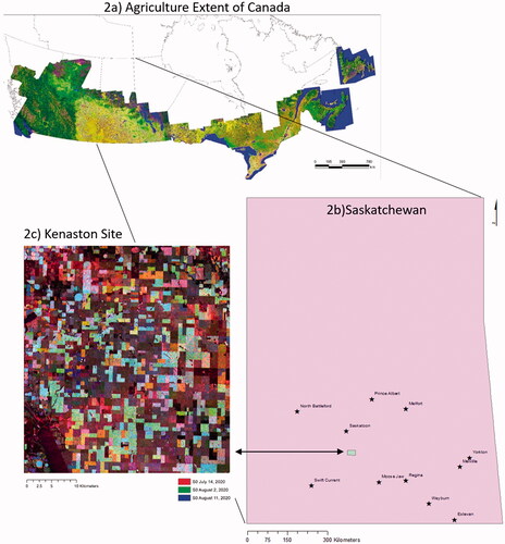 Figure 2. (a) Agriculture extent of Canada as mapped by AAFC since 2009, (b) location of Kenaston within the province of Saskatchewan and (c) RCM multi-temporal composite of the Kenaston study site.
