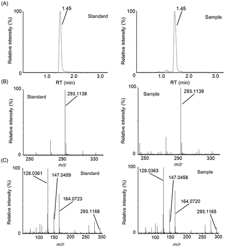 Fig. 7. Identification of γ-glutamyl-phenylalanine by LC–MS/MS analysis.