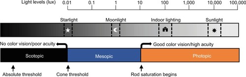 Figure 1 Representation of photoreceptor thresholds, visual responses, and their relationship to the range of illumination from natural and artificial light sources.