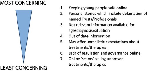 Figure 4 Concerns professionals have about recommending online resources to young people.