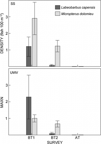 Figure 3: Estimates of mean fish density from snorkel surveys (SS) in the rotenone-treated area of the Rondegat River, and of mean relative abundance (MaxN) from underwater video analysis (UWV), during two before-treatment surveys and one after-treatment survey. BT1 = before-treatment survey on 15/02/2011–17/02/2011; BT2 = before-treatment survey on 24/02/2012–27/02/2012; AT = after-treatment survey on 01/03/2012. Error bars denote 1 SE