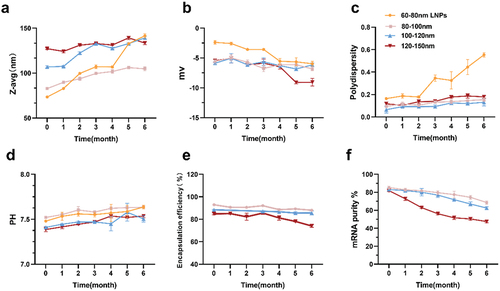 Figure 2. Analytical testing of the physicochemical properties of mRNA-lipid nanoparticles (LNPs) stored at 4°C for 6 months. (a) Particle size, (b) Zeta potential using electrophoretic light scattering, and (c) polydispersity were measured by dynamic light scattering, (d) determination of pH, (e) mRNA encapsulation determined by RiboGreen assay, while (f) mRNA purity was assessed by capillary electrophores. For (a) (b) (c) and (d), each data point is an average of at least 10 readings, resulting in the mean z-average, polydispersity, zeta potential, and pH values, which are displayed on the graphs. Analyses in (e)–(f) were done in triplicate. Error bars represent the standard deviation.