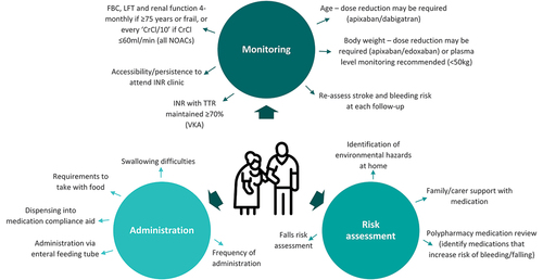 Figure 1. Practical considerations when prescribing oral anticoagulant therapy for stroke prevention in AF in older people.