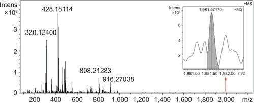 Figure 4 FT-MS spectrum of Cu2+-FS in water, to which the dimer (1,981.57170) is inserted.Notes: The ion peak at 1,981.57170 (inset) equals the mass of two molecules of Cu2+-FS plus K (971.3396).Abbreviations: Cu2+-FS, Cu2+-Arg-Gly-Asp-Phe-Arg-Gly-Asp-Ser; FT-MS, Fourier transform mass spectrometry; Intens, intensity.