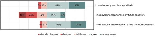 Figure 4. Confidence in the ability of regional and extra-regional actors to shape the future among households in Western Province (n = 425).