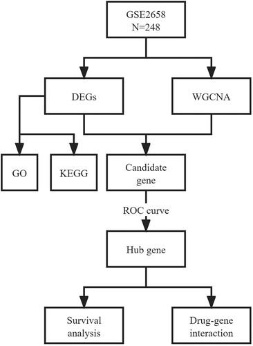 Figure 1. Flowchart of the study. GSE, GEO Series; DEGs, differentially expressed genes; WGCNA, weighted gene co-expression network analysis; GO, gene ontology; KEGG, Kyoto Encyclopedia of Genes and Genomes; ROC curve, receiver operator characteristic curve.