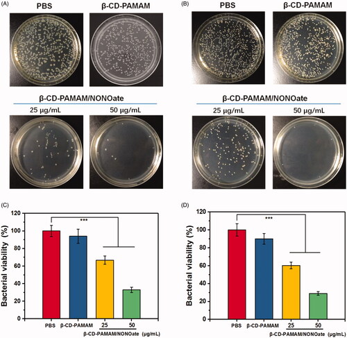 Figure 6. Photographs of bacterial colonies and the quantitative results for E. coli (A and C) and S. aureus (B and D) treated with different formulations (n = 3). The data are presented as the mean ± standard deviations: *** p < .001, n = 3.