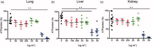 Figure 1. Viability of murine lung, liver, and kidney slices exposed to SiO2, PS-COOH, and PS-NH2 nanoparticles. Lung (a), liver (b), and kidney (c) slices were exposed for 48 h to increasing doses of 50 nm SiO2 (red), 40 nm PS-COOH (green), and 50 nm PS-NH2 (blue) in medium supplemented with 5% FBS (For interpretation of the references to colours in this legend, please refer to the web version of this article.). Viability is expressed as the percentage (%) of ATP normalized by total protein amount (pmol/µg). The results on liver slices exposed to the two polystyrene nanoparticles are reproduced from (Bartucci et al. Citation2020). Kruskal–Wallis statistic followed by Dunnett’s multiple comparisons test was performed. * = p ≤ 0.05; ** p ≤ 0.01. The data show the mean and standard error of the mean (SEM) of the results obtained in 3 to 11 independent experiments. Every dot represents the result of an independent experiment. For each experiment, the results of the treated slices are normalized by the results obtained in untreated control slices from the same animal (0 µg/mL nanoparticles). For each condition three slices of the same animal were used, and the average and SEM were calculated. The results obtained in one representative experiment are shown in Supplementary Figures S3–S5.