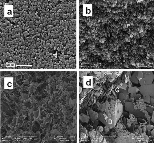 Figure 5. SEM images of initial polyhedral carbon nanoparticles (a), products of their treatment at 8.0 GPa and 1600°C (b), and products of treatment of binary mixture of polyhedral carbon nanoparticles with naphthalene at 8.0 GPa, 1000°C (c) and 1300°C (d). D—diamond, G—graphite. Reproduced with permission from ref [Citation38], Copyright (2011) Elsevier.