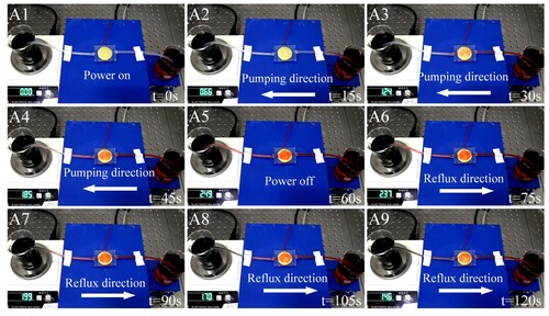 Figure 15. Measurement of net flow rate over time. (As shown in video 3 in the attachment).