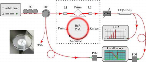 Figure 1. Experimental setup for the characterization of optical WGM resonators and the stimulated Brillouin scattering. PC: fiber polarization controller. OC: optical circulator. L1, L2: fiber lenses. VOA: variable optical attenuator. FC (50:50): 3 dB directional fiber coupler. OSA: optical spectrum analyzer. PD1, PD2: InGaAs photodetector. Inset: picture of the BaF2 disk coupled by a SF11 prism.