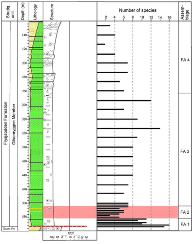 Fig. 4 Foraminiferal diversity portrayed as the number of species in core BH9/05 and subdivision into four assemblages. The Paleocene–Eocene Thermal Maximum (PETM) anomaly is marked with red shading.