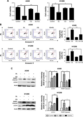 Figure 5 d-limonene (DL)–induced cell apoptosis is inhibited by chloroquine (CQ).