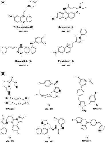 Figure 4. Chemical structures and molecular weight of (A) approved small-molecule drugs (7–10) re-positioned as anti-GBM agents and (B) imidazolium-based candidate molecules (11–16) with promising BBB permeability.