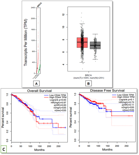 Figure 3 Dot plot (A) and Box plot (B) data for CD44 expression in breast adenocarcinoma and normal breast tissues (C) Effect of CD44 expression on overall survival and disease-free survival post-treatment. X-axes indicate survival time in months, while Y-axis indicates the percent survival of patients.
