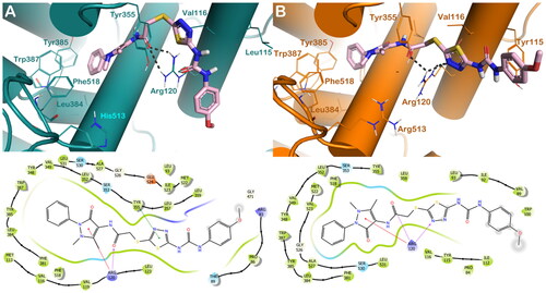 Figure 4. (A) Proposed binding interactions 6c into COX-1 enzyme (PDB ID 6Y3C). (B) Proposed binding interactions 6c into COX-2 enzyme. In the ligand-interaction diagrams the magenta arrow represents the H-bond, the green line the π–π stacking, the red line the cation-π stacking.