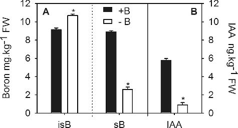 Figure 2. Effects of eight-week boron-deficiency treatment on the insoluble (isB) and soluble boron (sB) content (a) and IAA content (b) in trifoliate orange root tips.