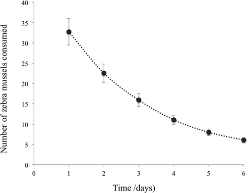 Figure 2. Mean number (± standard deviation, SD) of zebra mussels consumed over time (6 days).