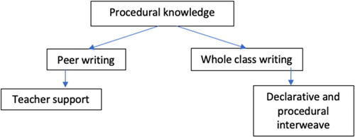 Figure 2. Procedural knowledge codes.