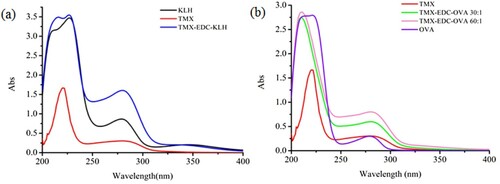 Figure 2. The ultraviolet-visible absorption spectra of artificial antigen: (a) TMX-EDC-KLH; (b) TMX-EDC-OVA.