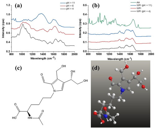 Figure 10. (a) FTIR spectra of the samples at different pHs; (b) FTIR spectra for pure ascorbic acid and spray-dried WPI at different pH values; (c) and (d) structure of the formyl threosyl pyrrole (FTP).[Citation26]