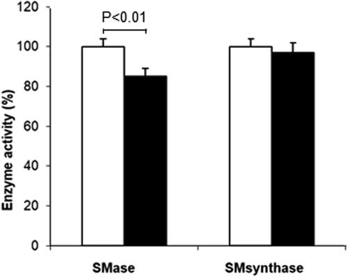 Figure 2. Changes in sphingomyelinase (SMase) and sphingomyelin synthase (SM synthase) activities after quercetin treatment. Control values are taken for 100% (white bars). Values for quercetin-treated fibroblasts are presented as black bars. Results are means ± SD of three separate experiments. Statistical significance was calculated between the corresponding activity in untreated (control) and treated 3D fibroblasts. Only the differences between SMase in control and quercetin-treated fibroblasts were statistically significant (p < 0.01).