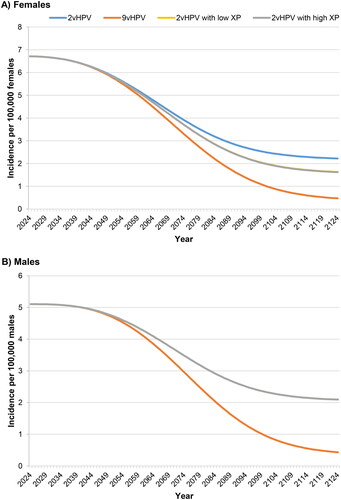 Figure 3. Incidence of noncervical cancers attributable to nonavalent vaccine types over 100 years.Abbreviations. HPV, human papillomavirus; XP, cross-protection. In panel A, the 2vHPV low and high XP curves are superimposed because they have the same effect on noncervical cancer in females. In panel B, the 2vHPV, 2vHPV low XP, and high XP curves are superimposed because they have the same effect on cancer in males.