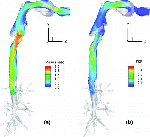 FIG. 3 Contours of (a) mean velocity (m/s) and (b) mean TKE (m2/s2) of the flow.