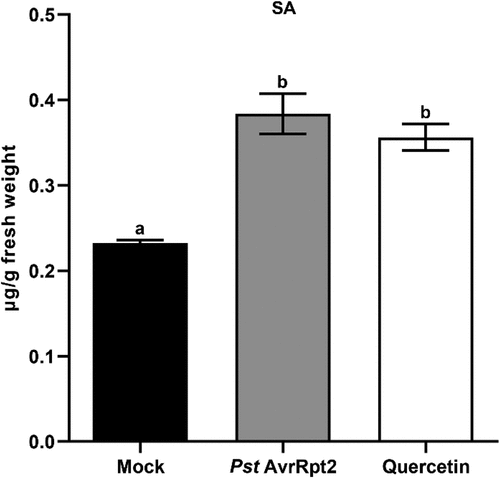Figure 4. The accumulation of SA is highly induced by quercetin. The level of SA in Pst DC3000-inoculated or 100 μM quercetin-treated Col-0 leaves at 24 hpi (hour post-infection) using HPLC-MS/MS. Error bars indicate the SD of three biological replicates. Different letters indicate significant differences (P <.001) tested by one-way ANOVA with Tukey’s post hoc test.