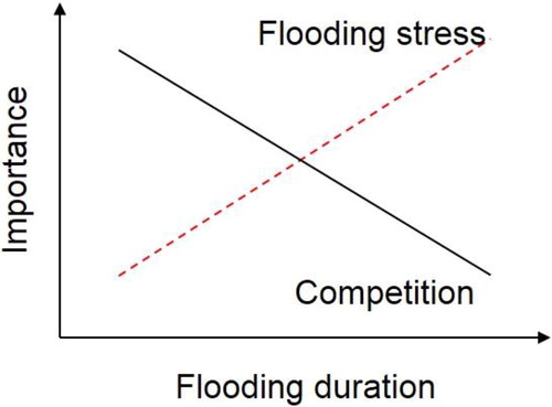Figure 1. A conceptual model of the ‘shift of flooding stress-competition’ hypothesis. With the flooding duration increasing, plant growth and productivity decrease through intensified flooding stress, resulting in decreased competition intensity.