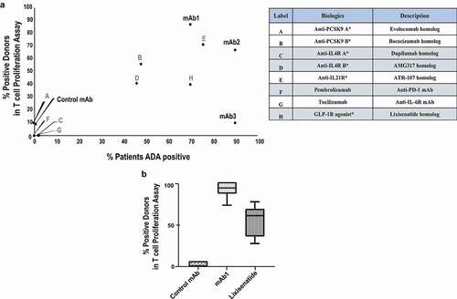 Figure 3. The response of CD4 T-cells in the CD8 T cell-depleted PBMC assay agrees with the rate of clinical immunogenicity. (a) Therapeutic proteins and peptides with known clinical immunogenicity were tested in the CD8 T cell-depleted PBMC proliferation assay in 10 healthy donor cohorts. The percent of donor positive in this assay correlates with the percent ADA observed in clinic for all of the therapeutic antibodies tested, except for mAb3. (b) Control mAb, mAb1 and Lixisenatide were tested multiple times in the CD8 T cell-depleted PBMC proliferation assay using different cohorts of 10 healthy donors. Box and whisker plots show the percent of positive donors observed following treatment with Control mAb (n = 5), mAb1 (n = 20), or Lixisenatide (n = 14)