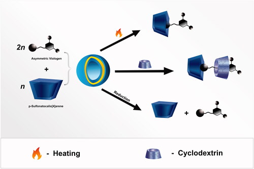 Figure 2. Host–guest complex DOX release by triple mechanism (adapted from Wang et al. [Citation25]).