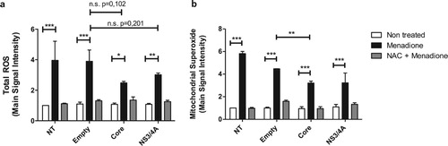 Figure 1. Reactive oxygen species production is attenuated in hepatocytes expressing HCV Core or NS3/4A proteins and under external oxidative stress induction. Total reactive oxygen species (a) and mitochondrial superoxide anion production (b) were detected using a set of fluorogenic probes (Cell ROX® Deep Red Reagent and MitoSOX™ Red Reagent, respectively) in Huh-7 cells transiently transfected with the empty vector, pTracerCore or pTracerNS3/4A. Cells were treated with menadione (50 μM) 24 hours post-transfection for 6 hours. As a control and to inhibit the effect of menadione, cells were pre-treated 30 minutes prior to menadione treatment with the anti-oxidant NAC (5 mM). 2-way ANOVA was performed for group comparisons of the means with a Bonferroni post-test and in specific cases a t test was applied to compare the means between single comparisons; the asterisks represent the p value as: ***<0.001, **<0.003 and, *<0.05. (p value > 0.05). NT = No treated cells. n.s. = not significant. Experiments were conducted in duplicate wells and results are expressed as the average of three independent experiments.