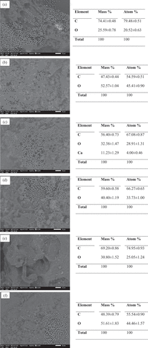 Figure 12. SEM images and EDX results for (a) FS-500, (b) FS-600, (c) FS-700. (d) KMFS-500, (e) KMFS-600 and (f) KMFS-700 after adsorption.