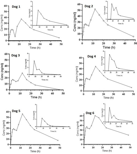 Figure 7 Plasma concentration vs time of FDC AML-B (5 mg) and SIM (10 mg) after a single oral administration in dogs (n=6).