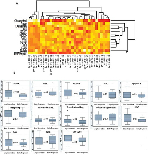 Figure 3. (A) Pathways deregulation score for each tumor sample on the basis of gene expression data. Each row corresponds to a pathway and each column to a sample. Pathways and samples are clustered according to pathways deregulation score. Red colour represents low score, yellow colour high score. (B) Boxplots of pathways deregulation scores. The distribution of Pathifier deregulation scores of each pathways is plotted for LR and EP. The top and the bottom of the box delineate the upper and lower quartile, while the thick line within each box represents the median. Whiskers extend capture all data within two standard deviations of the means.
