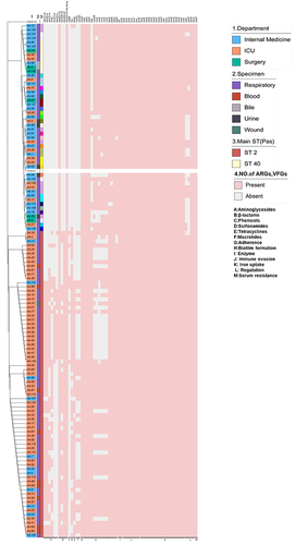 Figure 5 Phylogenetic analysis and heat map of the detection of ARGs and VFGs among the 123 Acinetobacter baumannii clinical isolates.